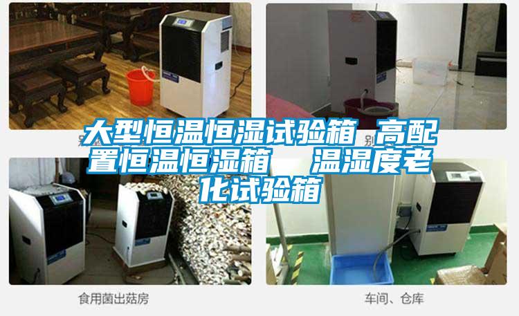 大型恒溫恒濕試驗(yàn)箱 高配置恒溫恒濕箱  溫濕度老化試驗(yàn)箱