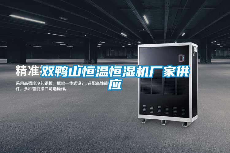 雙鴨山恒溫恒濕機廠家供應