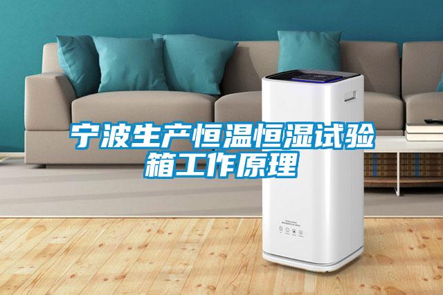 寧波生產恒溫恒濕試驗箱工作原理