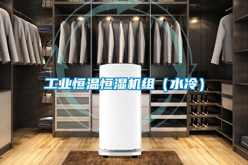 工業恒溫恒濕機組（水冷）