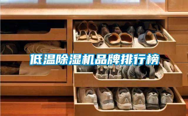 低溫除濕機品牌排行榜