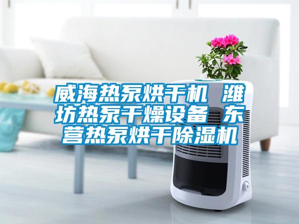 威海熱泵烘干機 濰坊熱泵干燥設備 東營熱泵烘干除濕機