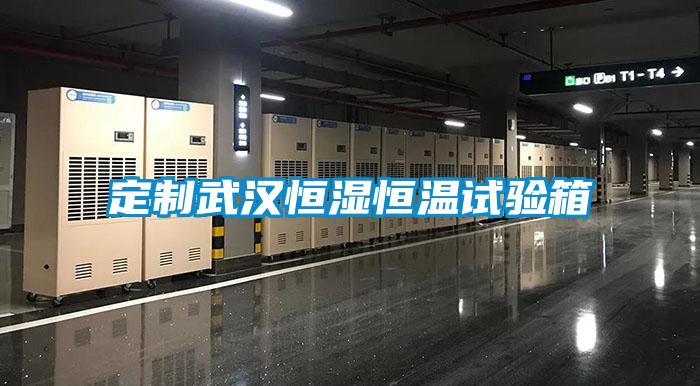 定制武漢恒濕恒溫試驗箱