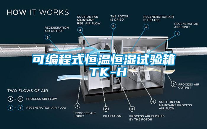 可編程式恒溫恒濕試驗(yàn)箱 TK-H
