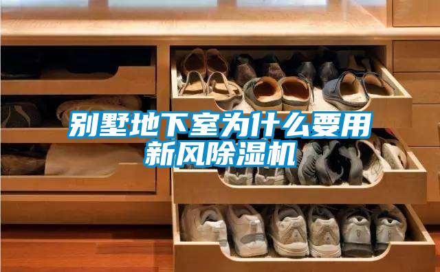 別墅地下室為什么要用新風除濕機