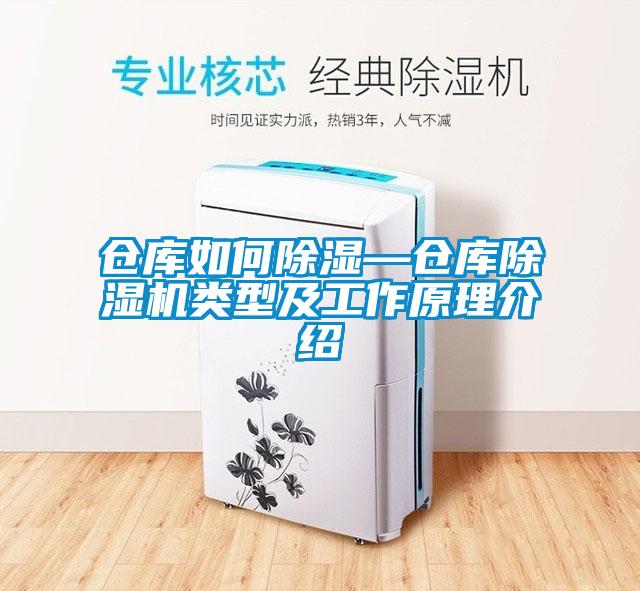 倉庫如何除濕—倉庫除濕機類型及工作原理介紹