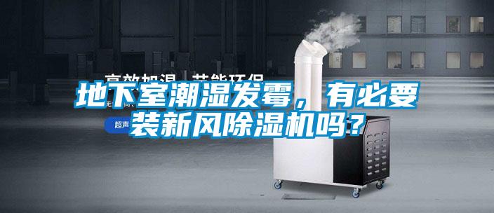 地下室潮濕發霉，有必要裝新風除濕機嗎？