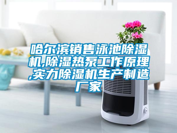 哈爾濱銷售泳池除濕機,除濕熱泵工作原理,實力除濕機生產(chǎn)制造廠家