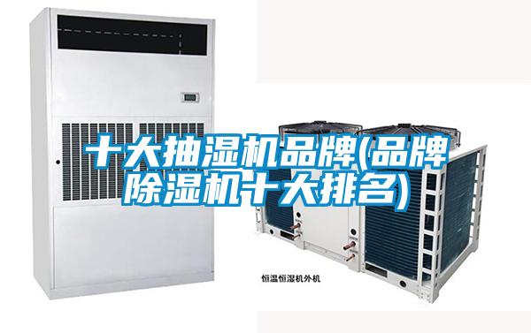 十大抽濕機品牌(品牌除濕機十大排名)