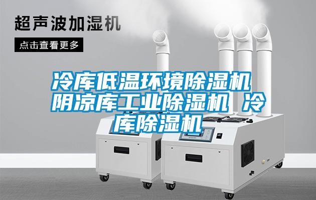 冷庫低溫環(huán)境除濕機(jī) 陰涼庫工業(yè)除濕機(jī) 冷庫除濕機(jī)