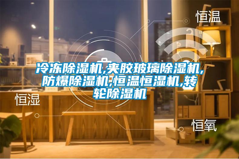冷凍除濕機,夾膠玻璃除濕機,防爆除濕機,恒溫恒濕機,轉輪除濕機