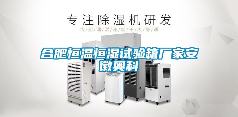 合肥恒溫恒濕試驗箱廠家安徽奧科