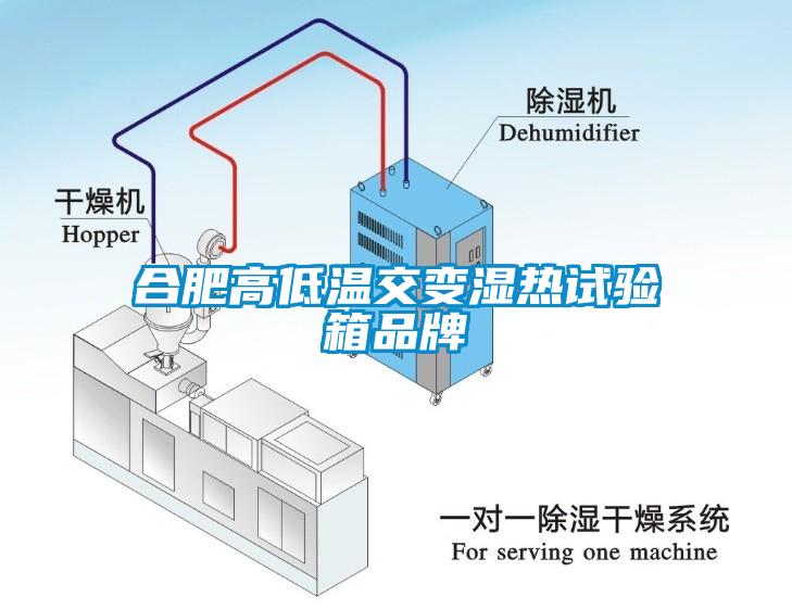 合肥高低溫交變濕熱試驗箱品牌