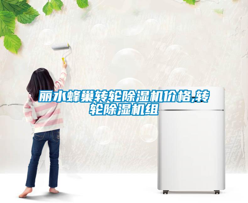 麗水蜂巢轉(zhuǎn)輪除濕機(jī)價格,轉(zhuǎn)輪除濕機(jī)組