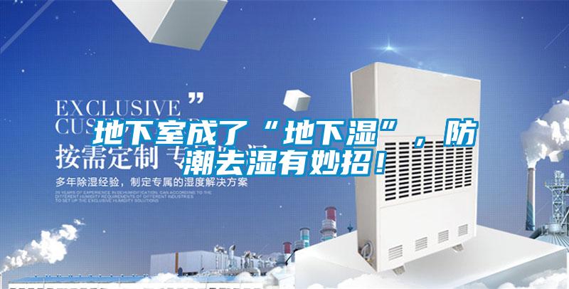 地下室成了“地下濕”，防潮去濕有妙招！