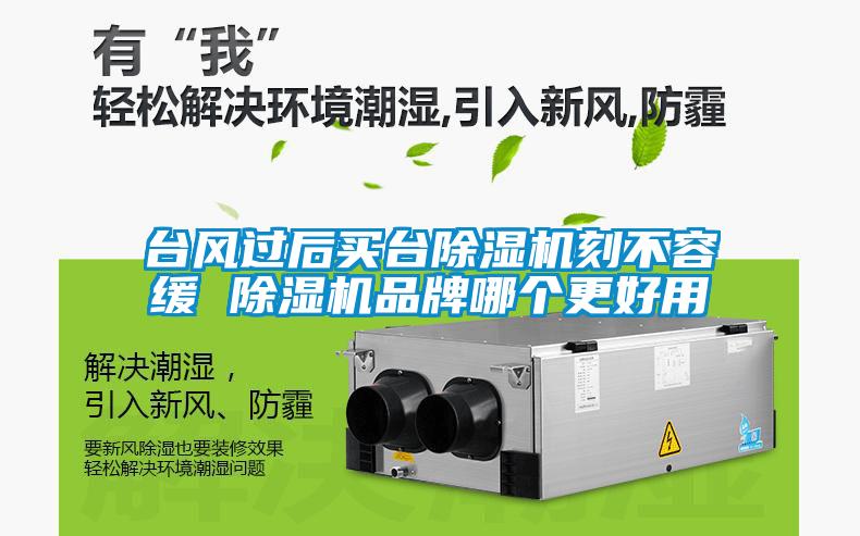 臺風過后買臺除濕機刻不容緩 除濕機品牌哪個更好用