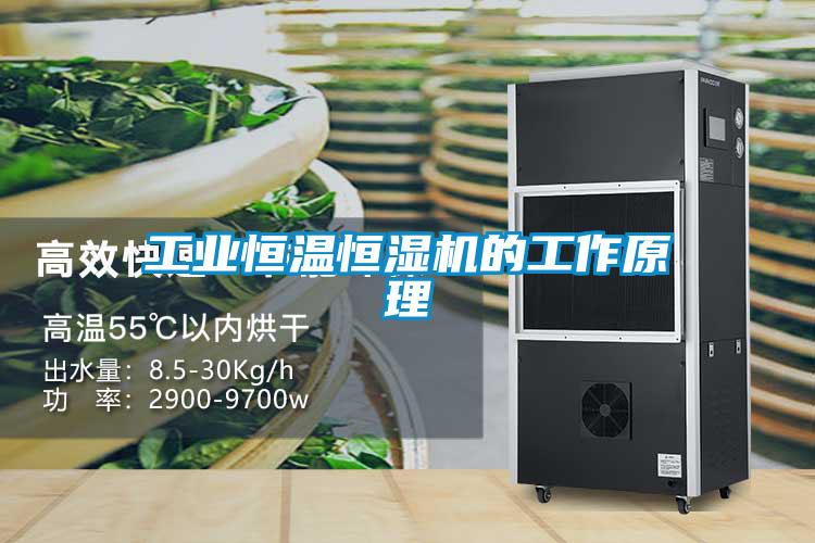 工業恒溫恒濕機的工作原理