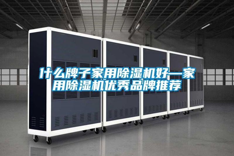 什么牌子家用除濕機(jī)好—家用除濕機(jī)優(yōu)秀品牌推薦