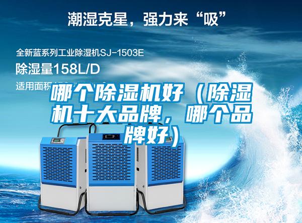 哪個除濕機好（除濕機十大品牌，哪個品牌好）