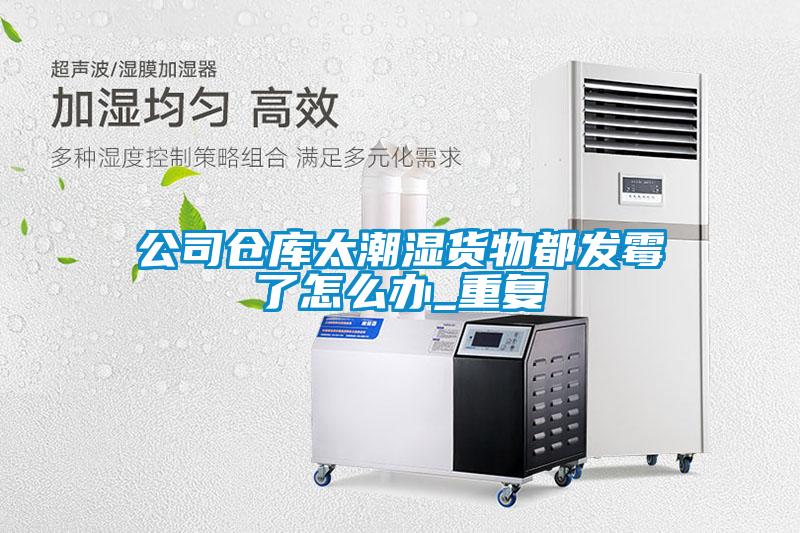 公司倉庫太潮濕貨物都發霉了怎么辦_重復