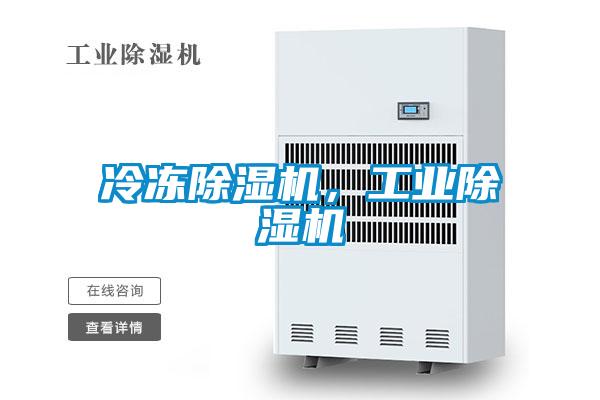 冷凍除濕機，工業除濕機