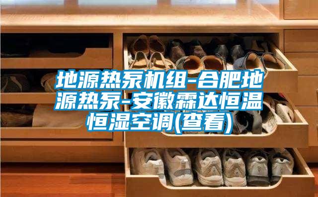 地源熱泵機組-合肥地源熱泵-安徽霖達恒溫恒濕空調(查看)