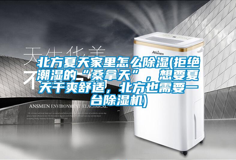 北方夏天家里怎么除濕(拒絕潮濕的“桑拿天”，想要夏天干爽舒適，北方也需要一臺除濕機)