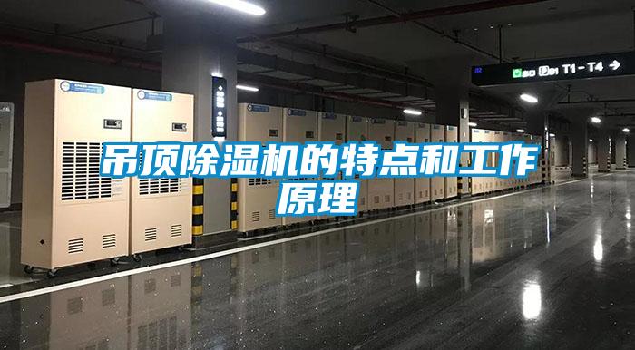 吊頂除濕機的特點和工作原理