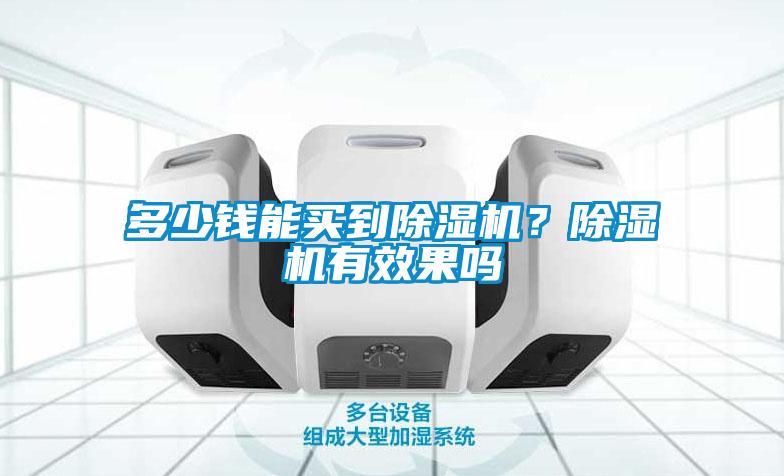 多少錢能買到除濕機(jī)？除濕機(jī)有效果嗎