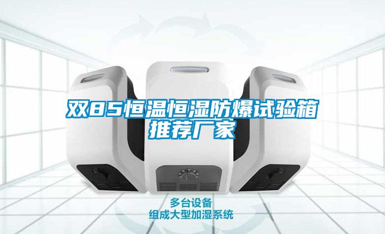 雙85恒溫恒濕防爆試驗(yàn)箱推薦廠家