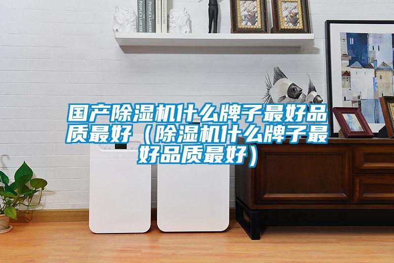國產除濕機什么牌子最好品質最好（除濕機什么牌子最好品質最好）