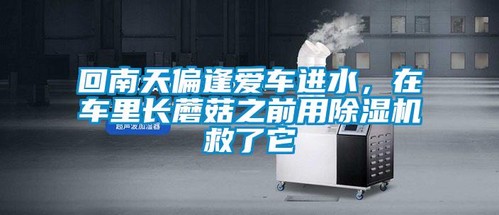 回南天偏逢愛車進水，在車里長蘑菇之前用除濕機救了它