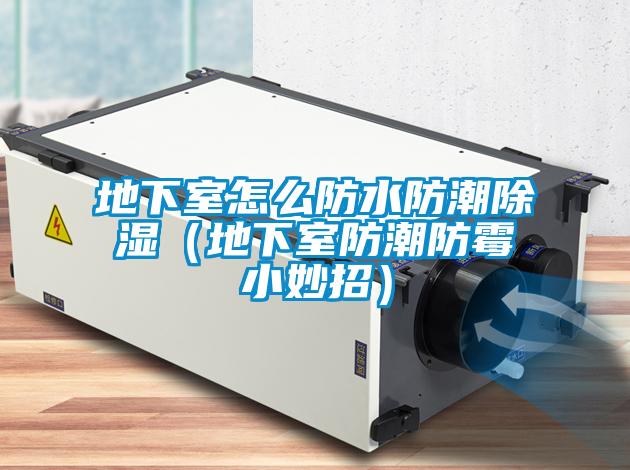 地下室怎么防水防潮除濕（地下室防潮防霉小妙招）