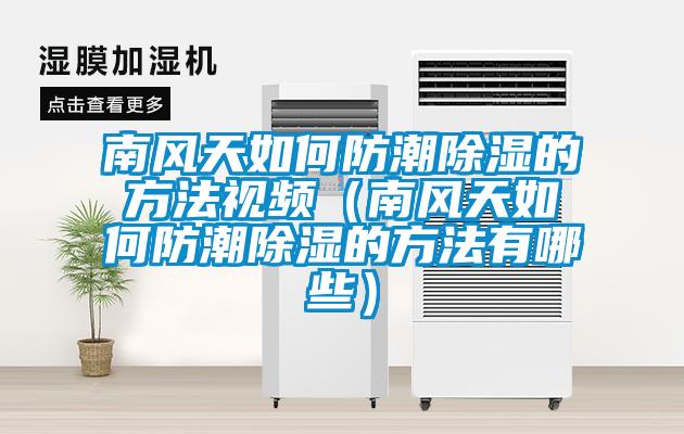 南風天如何防潮除濕的方法視頻（南風天如何防潮除濕的方法有哪些）