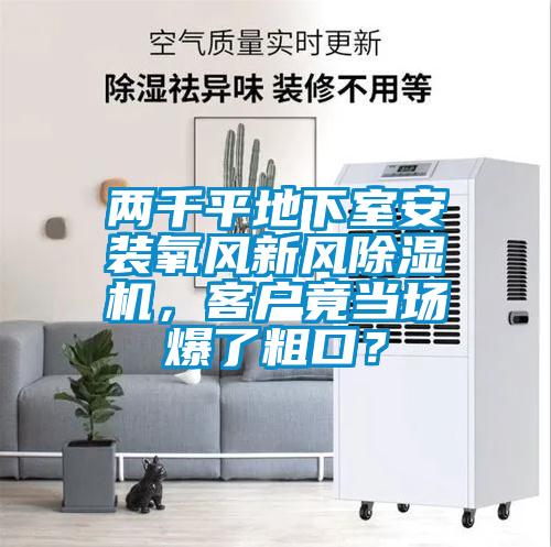 兩千平地下室安裝氧風新風除濕機，客戶竟當場爆了粗口？