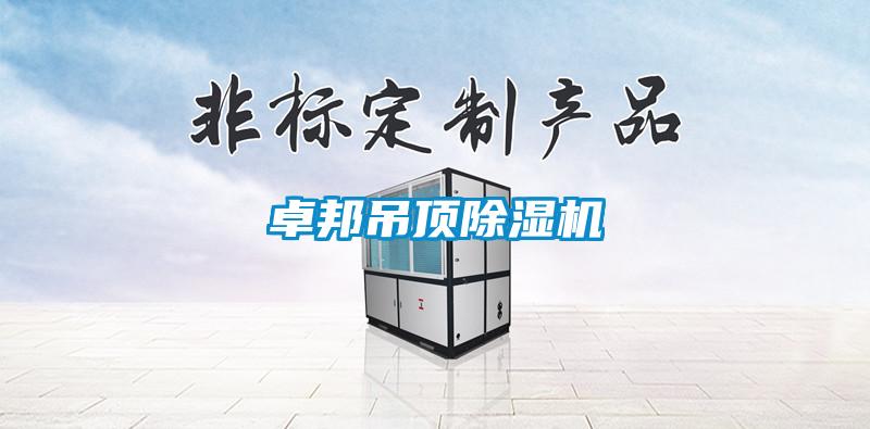 卓邦吊頂除濕機