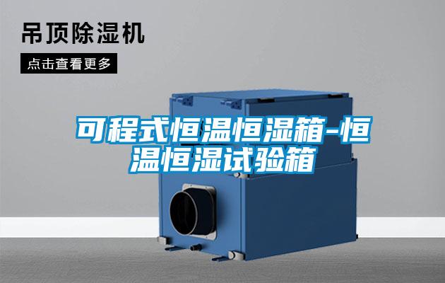 可程式恒溫恒濕箱-恒溫恒濕試驗箱