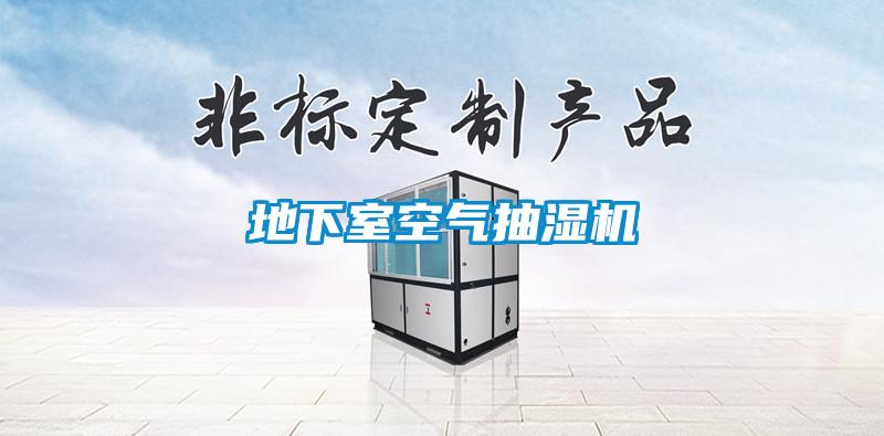 地下室空氣抽濕機(jī)