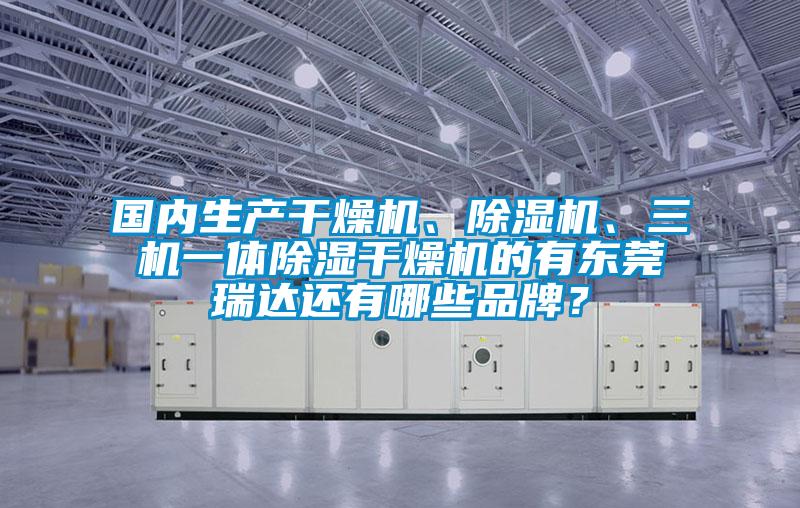 國內生產干燥機、除濕機、三機一體除濕干燥機的有東莞瑞達還有哪些品牌？