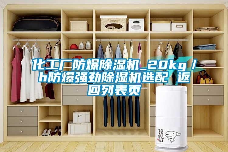 化工廠防爆除濕機(jī)_20kg／h防爆強(qiáng)勁除濕機(jī)選配 返回列表頁