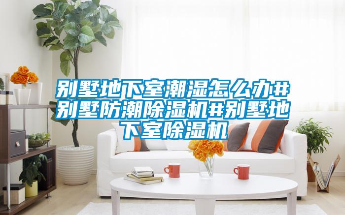 別墅地下室潮濕怎么辦#別墅防潮除濕機#別墅地下室除濕機