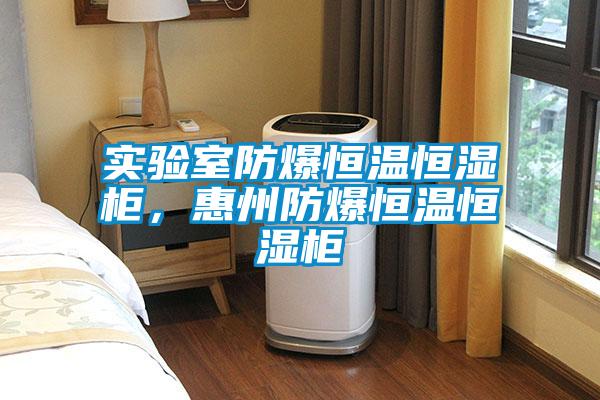 實驗室防爆恒溫恒濕柜，惠州防爆恒溫恒濕柜