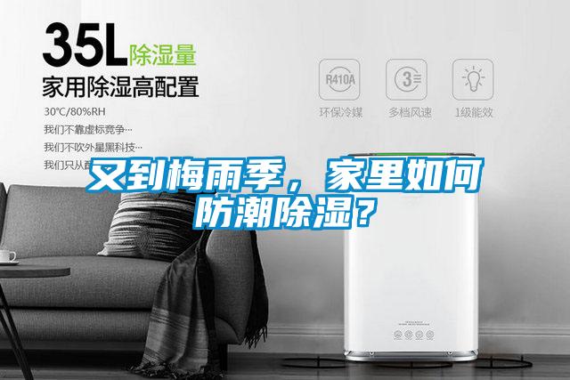 又到梅雨季，家里如何防潮除濕？