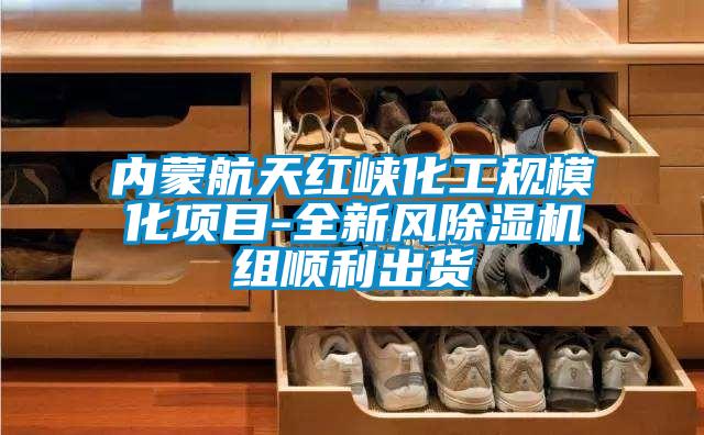 內(nèi)蒙航天紅峽化工規(guī)模化項(xiàng)目-全新風(fēng)除濕機(jī)組順利出貨