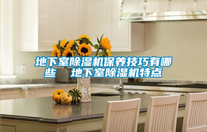 地下室除濕機保養(yǎng)技巧有哪些  地下室除濕機特點