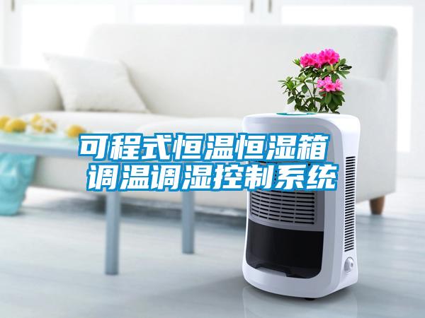 可程式恒溫恒濕箱 調溫調濕控制系統