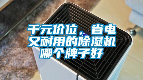 千元價位，省電又耐用的除濕機哪個牌子好