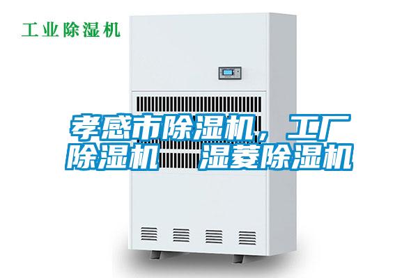 孝感市除濕機(jī)，工廠除濕機(jī)  濕菱除濕機(jī)