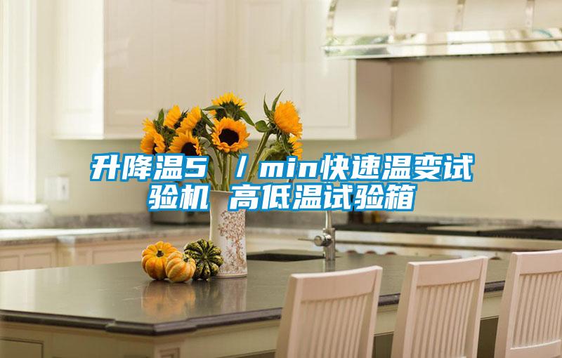 升降溫5℃／min快速溫變試驗機 高低溫試驗箱