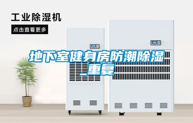 地下室健身房防潮除濕_重復
